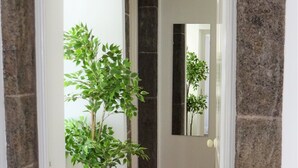 Un couloir avec un arbre en pot, un plancher en bois et des murs en pierre.