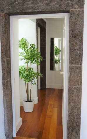 Enter a serene space with a potted tree and a mirror reflecting the room's interior.