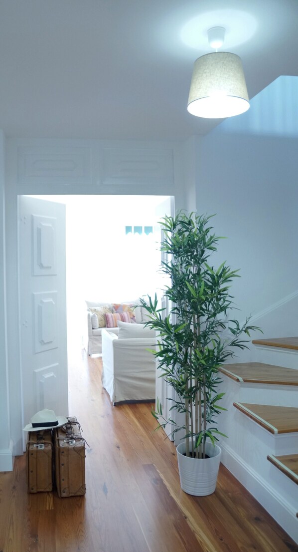 A hallway with a bamboo plant, a white door, and a staircase with wooden steps.