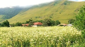 Ett lantligt landskap med ett blommande fält, en kulle med några få byggnader och en delvis molnig himmel.