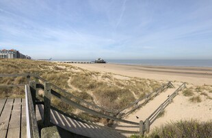 靠近海滩、10 间海滩酒吧