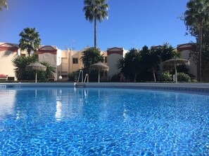 A swimming pool with clear blue water, surrounded by palm trees and buildings with red roofs.