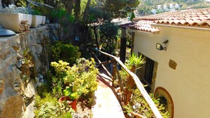 A garden with various plants and a stone wall.