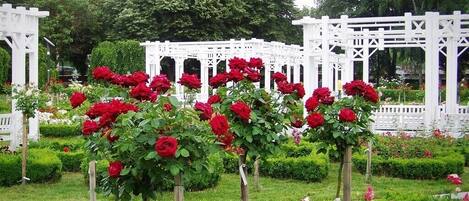 Parco della struttura