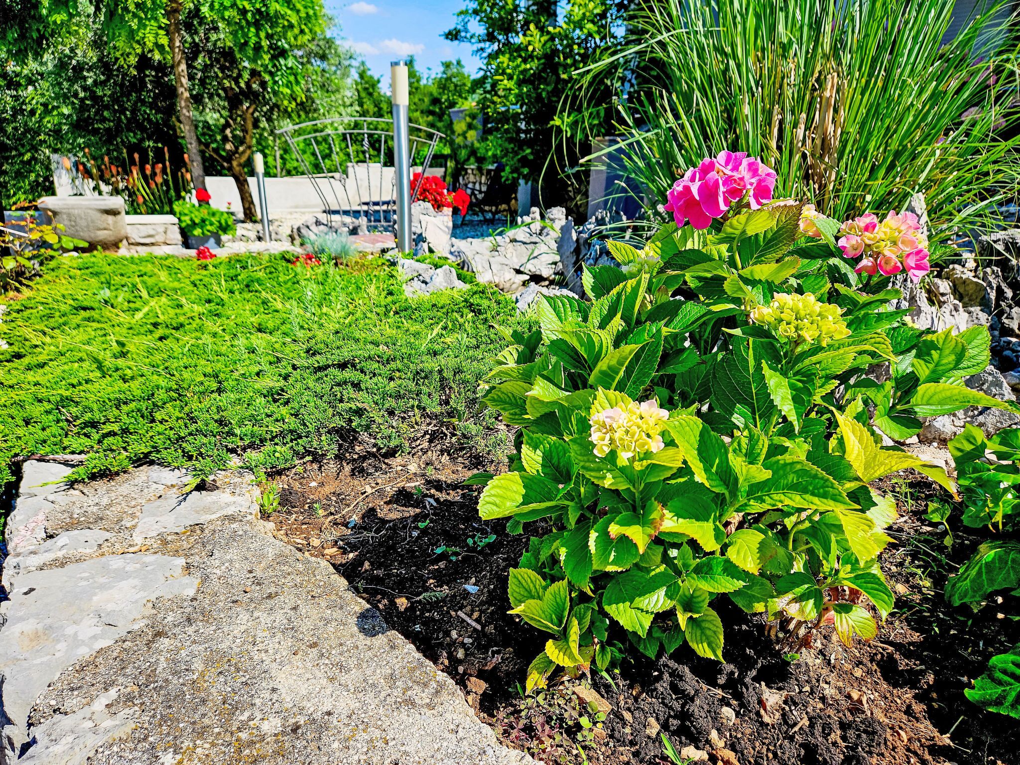 A garden with various plants and flowers, a stone pathway, and a metal fence.