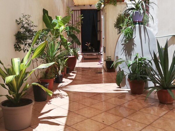 Enceinte de l’hébergement