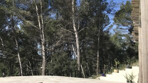 A swimming pool surrounded by trees and a wooden fence.