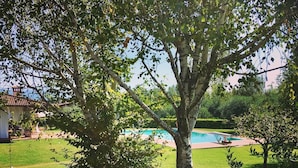 Un espace piscine offrant une vue dégagée sur l’eau, entouré d’une pelouse bien entretenue et d’arbres.