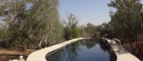 Piscine extérieure