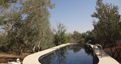 Azraq Oasis mansion