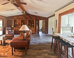 TV, fireplace, books