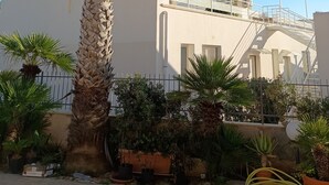 A building with a white facade, a palm tree in the foreground, and a metal staircase leading to a rooftop terrace.