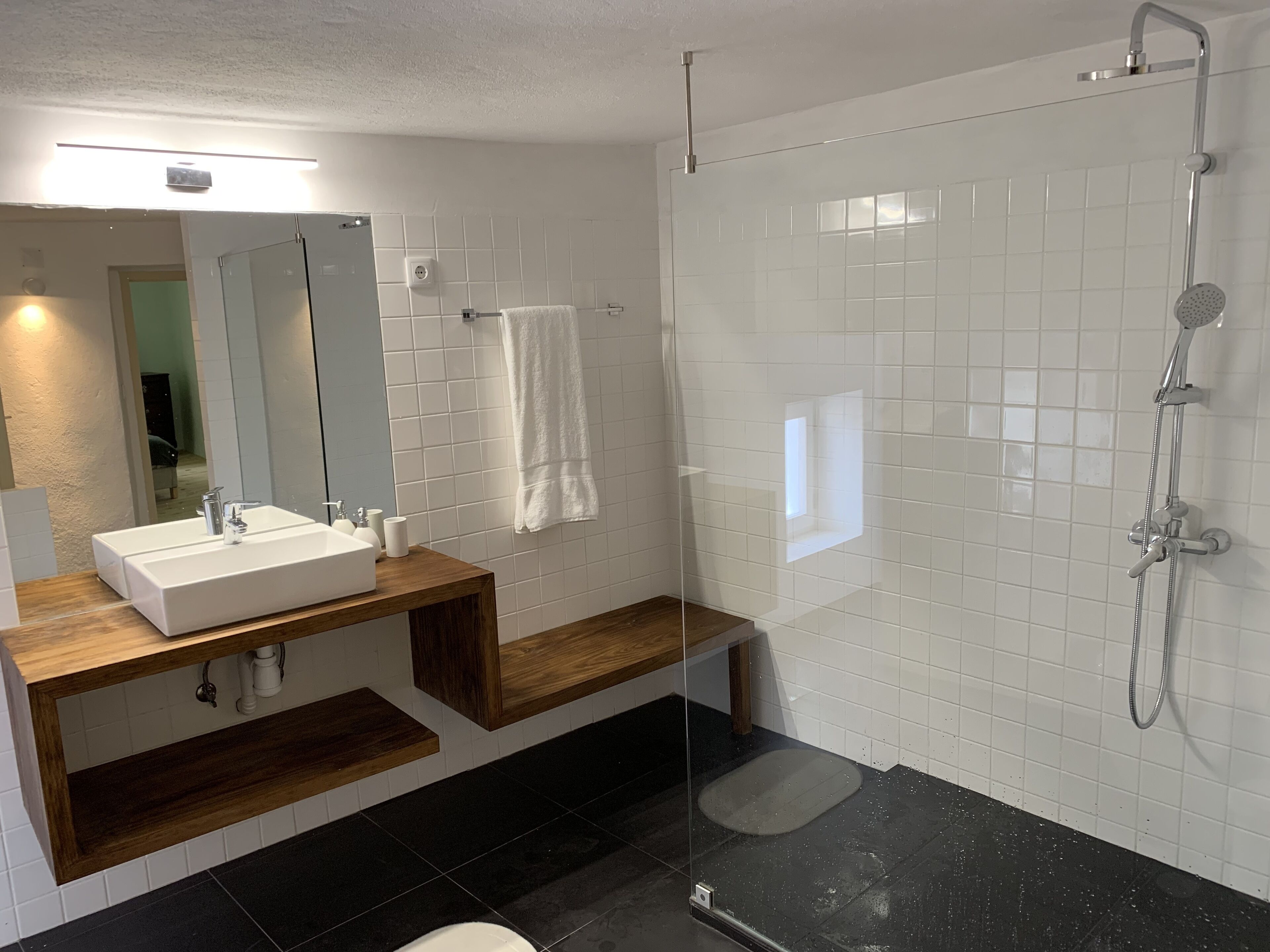 Bathtub, hair dryer, bidet, towels