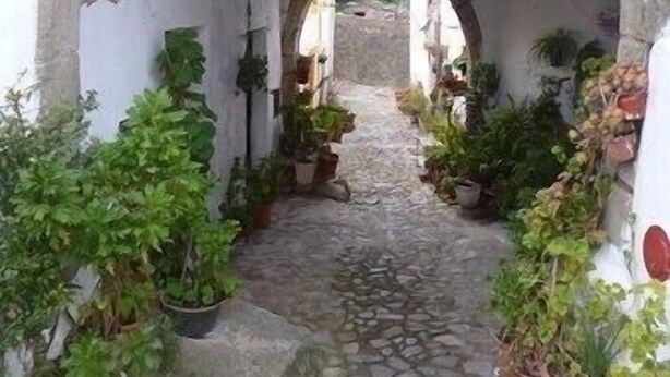 A narrow stone pathway under a stone archway with potted plants on either side. - House by the Castle (360 panoramic View) (Castelo de Vide)
