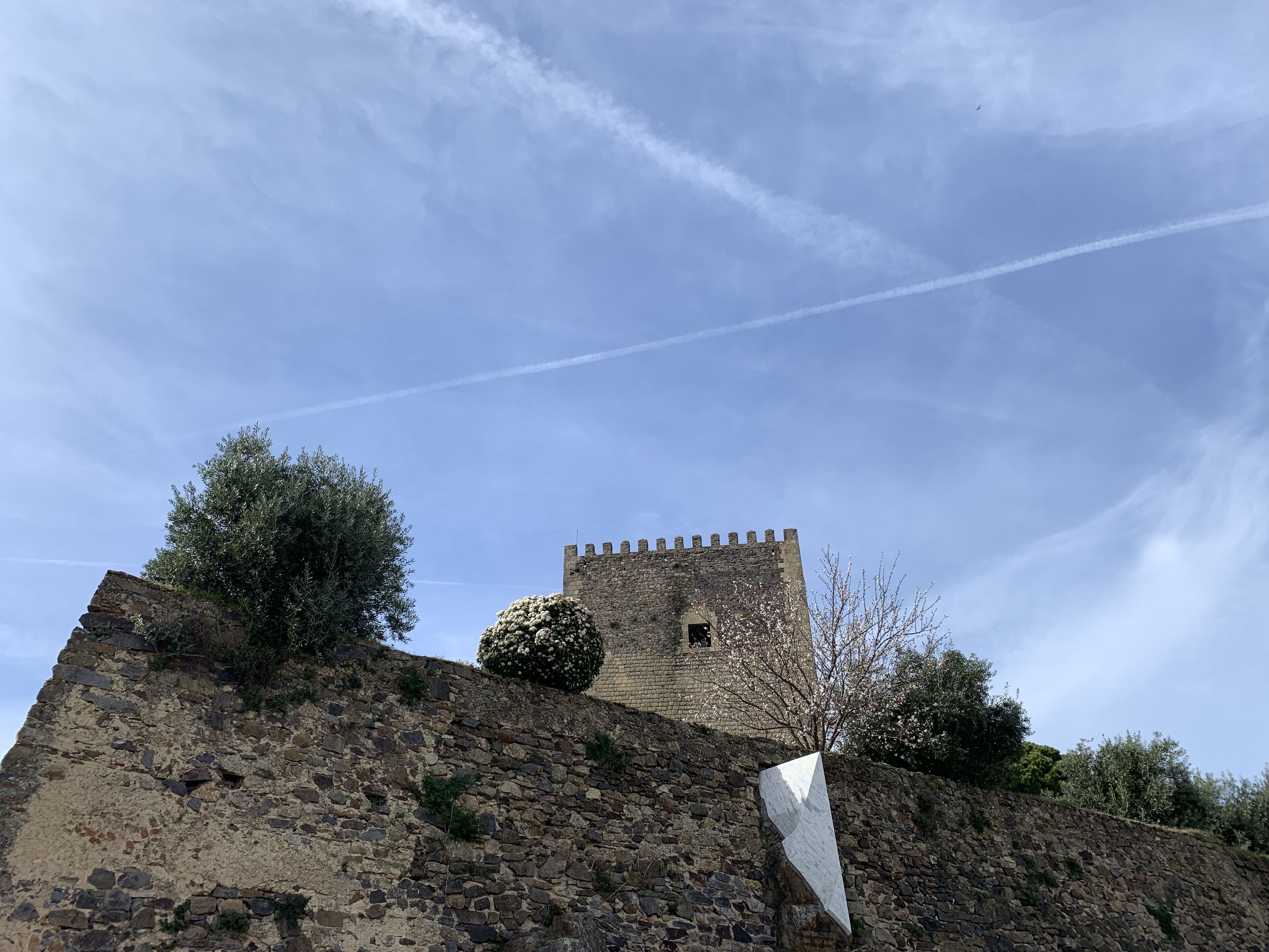 Severdighet
