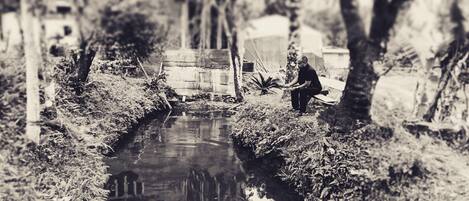 スノー スポーツとスキー