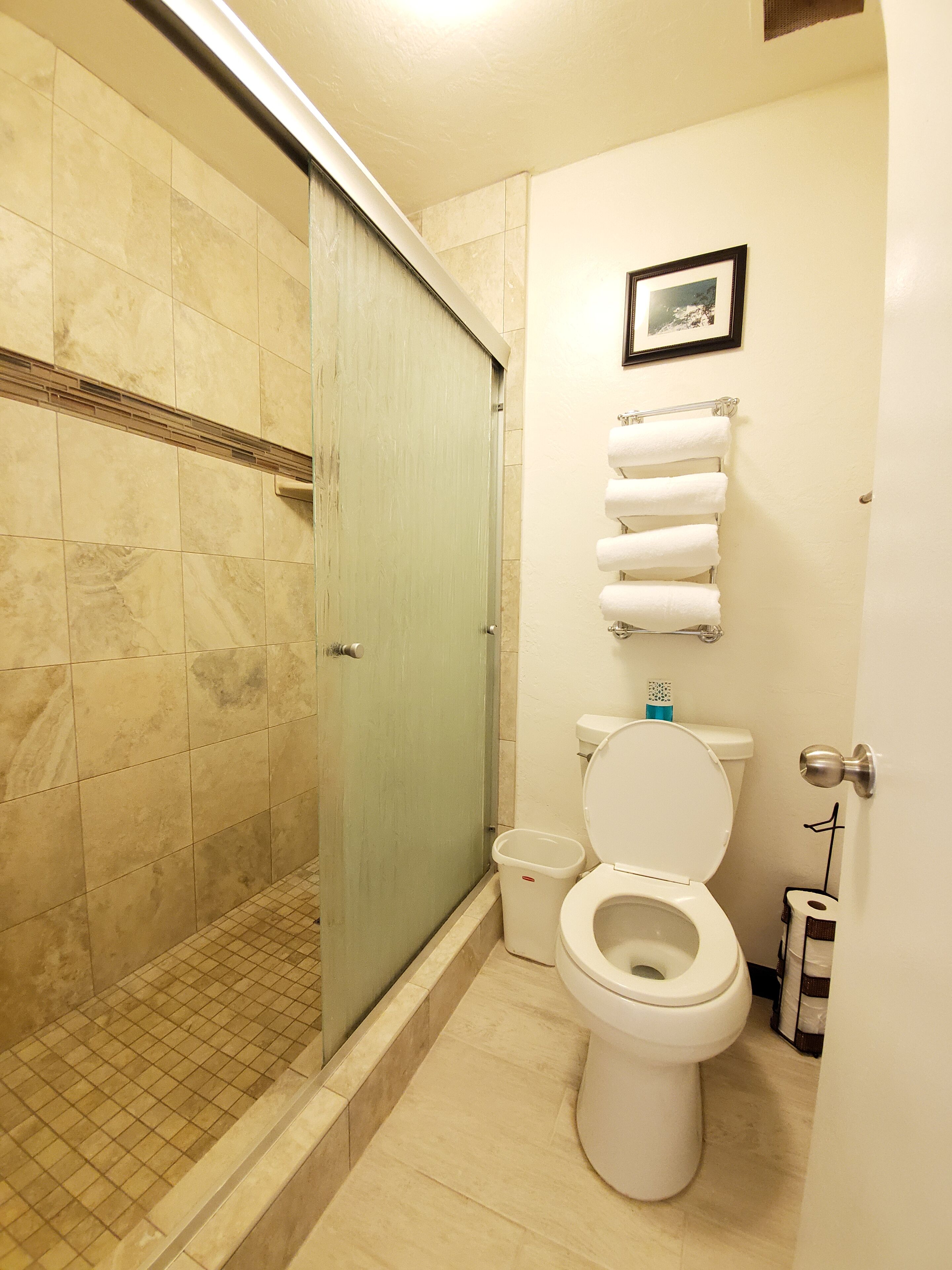 A bathroom with a shower, toilet, and a towel rack.