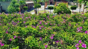 En gårdhave med en sommerpavillon, omgivet af frodig vegetation og blomstrende planter.