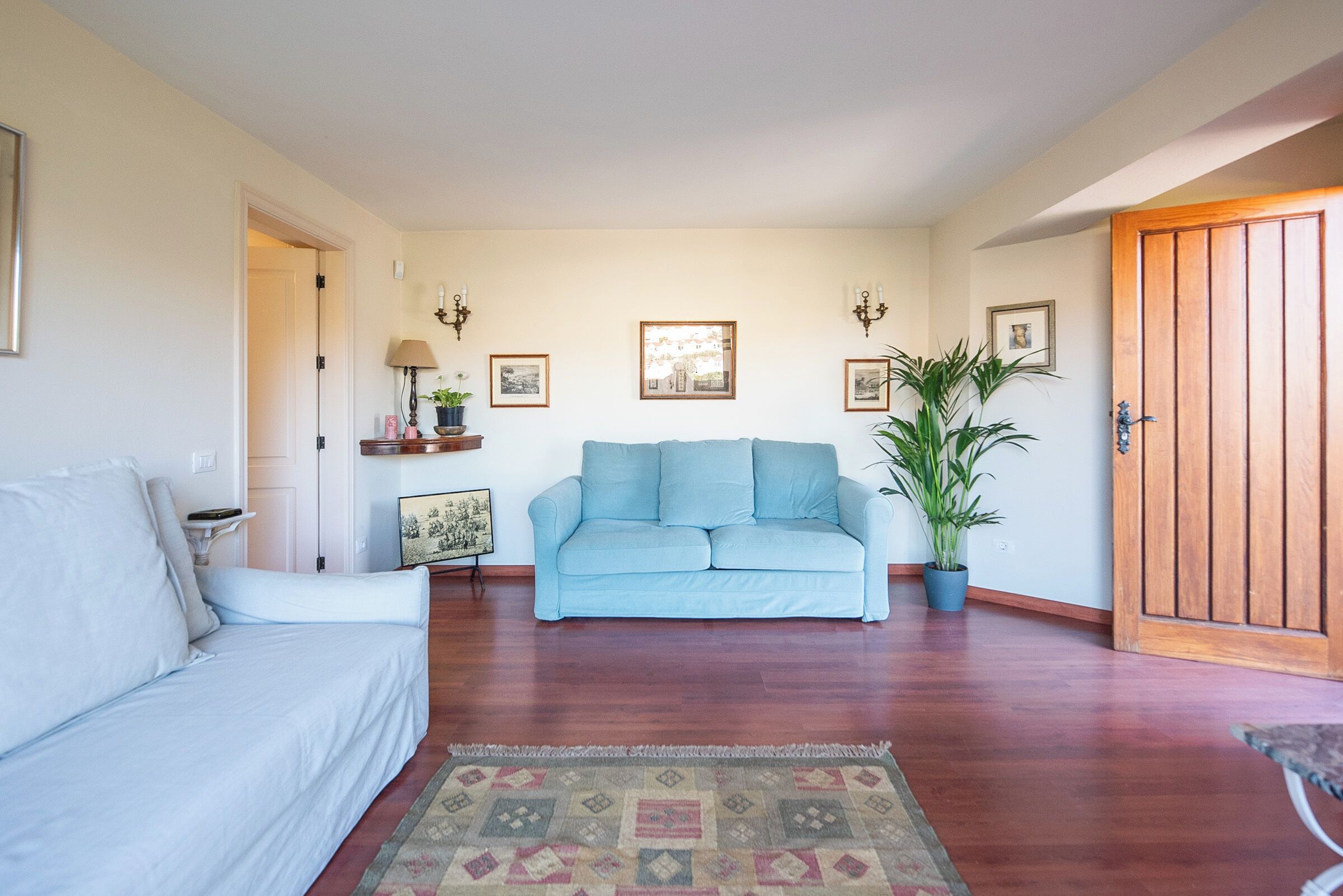 Una sala de estar con un sofá azul claro, un sofá blanco, piso de madera, alfombra estampada y una puerta de madera.