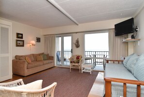 TV, DVD player, books, video library