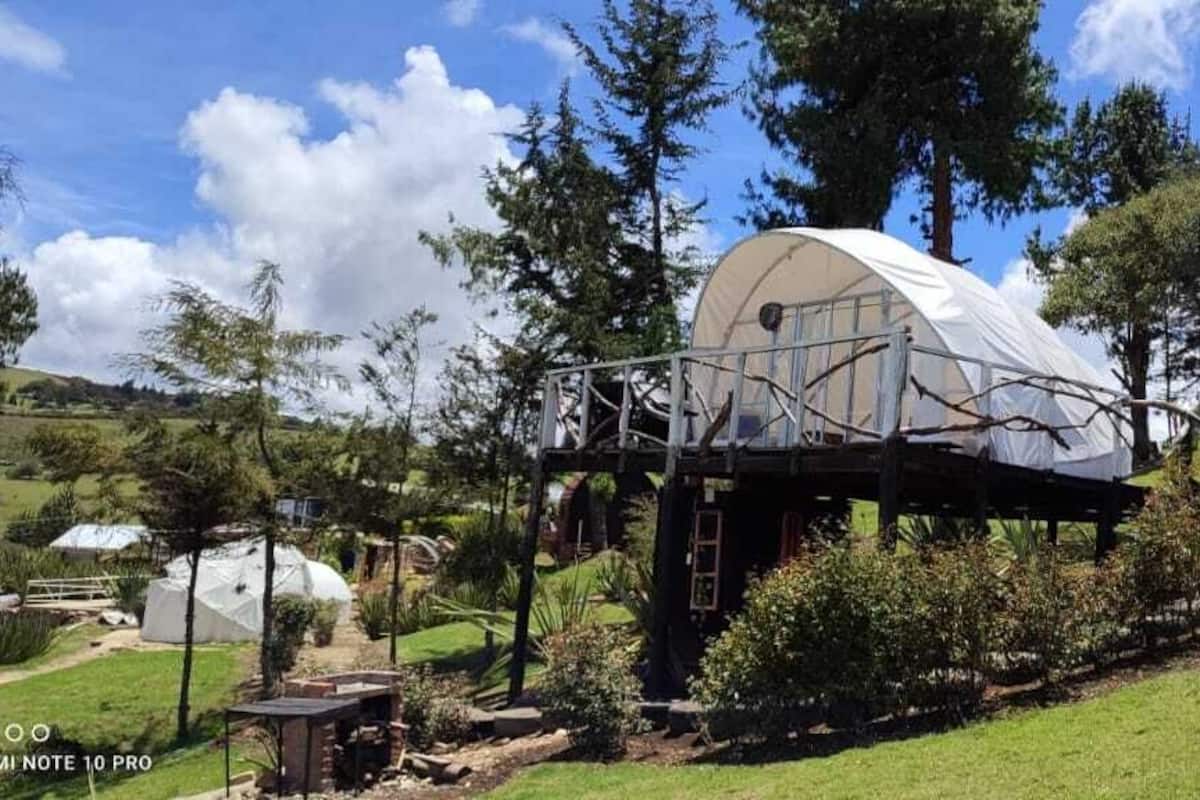 Una estructura en forma de cúpula con una cubierta de madera, rodeada de árboles y un paisaje cubierto de hierba.