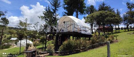 A dome-shaped structure with a wooden deck, surrounded by trees and a grassy landscape.