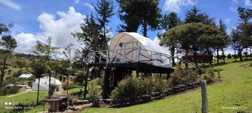 华丽套房 | 高档床上用品、免费 WiFi、床单