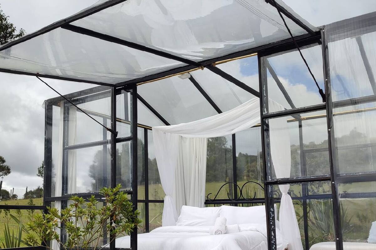 Una habitación tipo invernadero con una cama, una mesita y plantas en macetas.