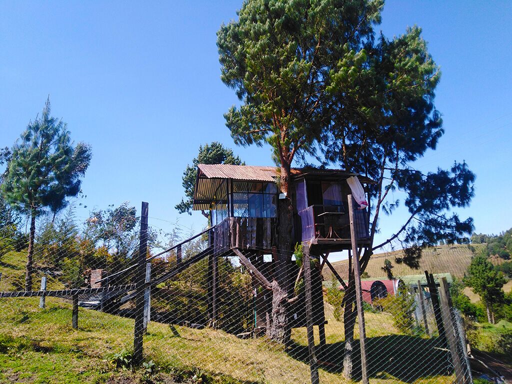 Una casa en un árbol con escalera metálica y techo rojo, rodeada por una cerca de alambre y árboles.