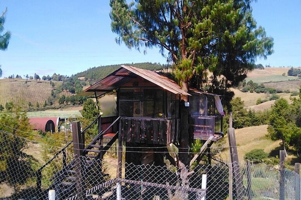 Deluxe Chalet | 1 bedroom, premium bedding, free WiFi, bed sheets