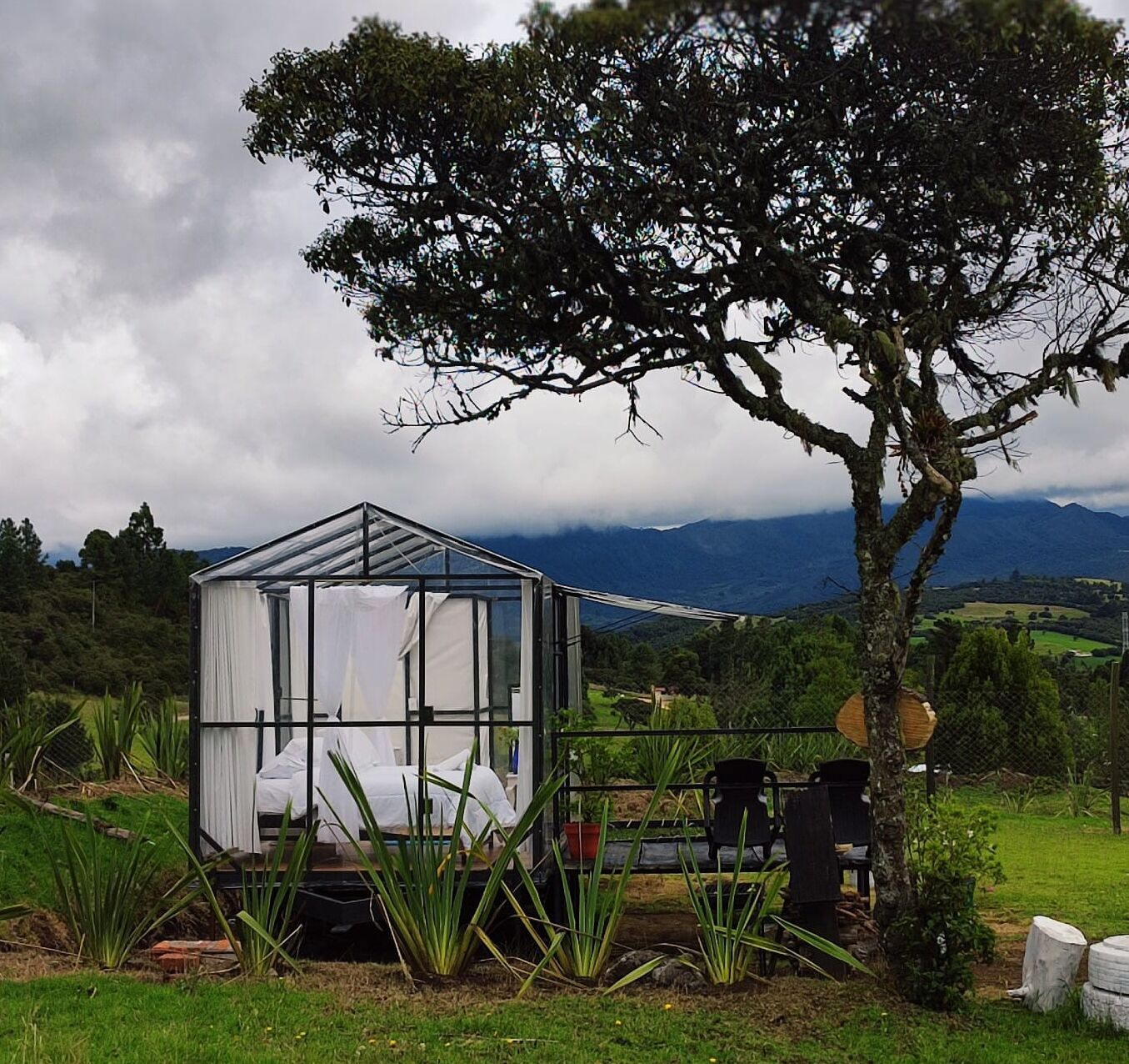 豪華套房 | 高級寢具、免費無線上網、床單