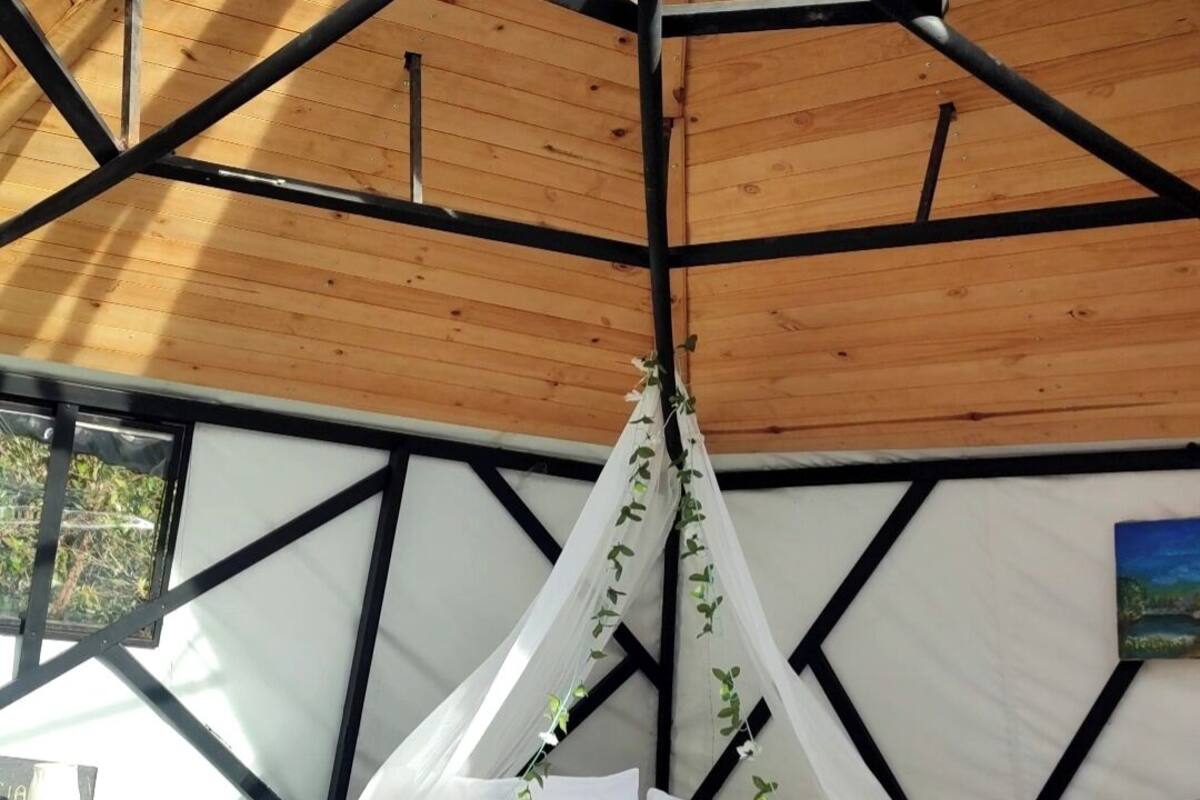 Una tienda de campaña con una cama, una mesa y una planta colgante.