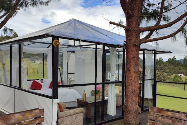 Deluxe Suite | Premium bedding, free WiFi, bed sheets