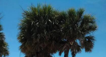Prime location on Pass-A-Grille Beach! Everything you need is here!