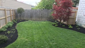 A well-maintained backyard with a lawn, a wooden fence, and a tree with red leaves. - Downtown Lebanon, Near Kings Island, Lovely Historic Home, 1st Flr, Washer/Dryer (Lebanon)