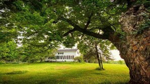 Experience a classic, inviting atmosphere in this traditional home surrounded by lush greenery.
