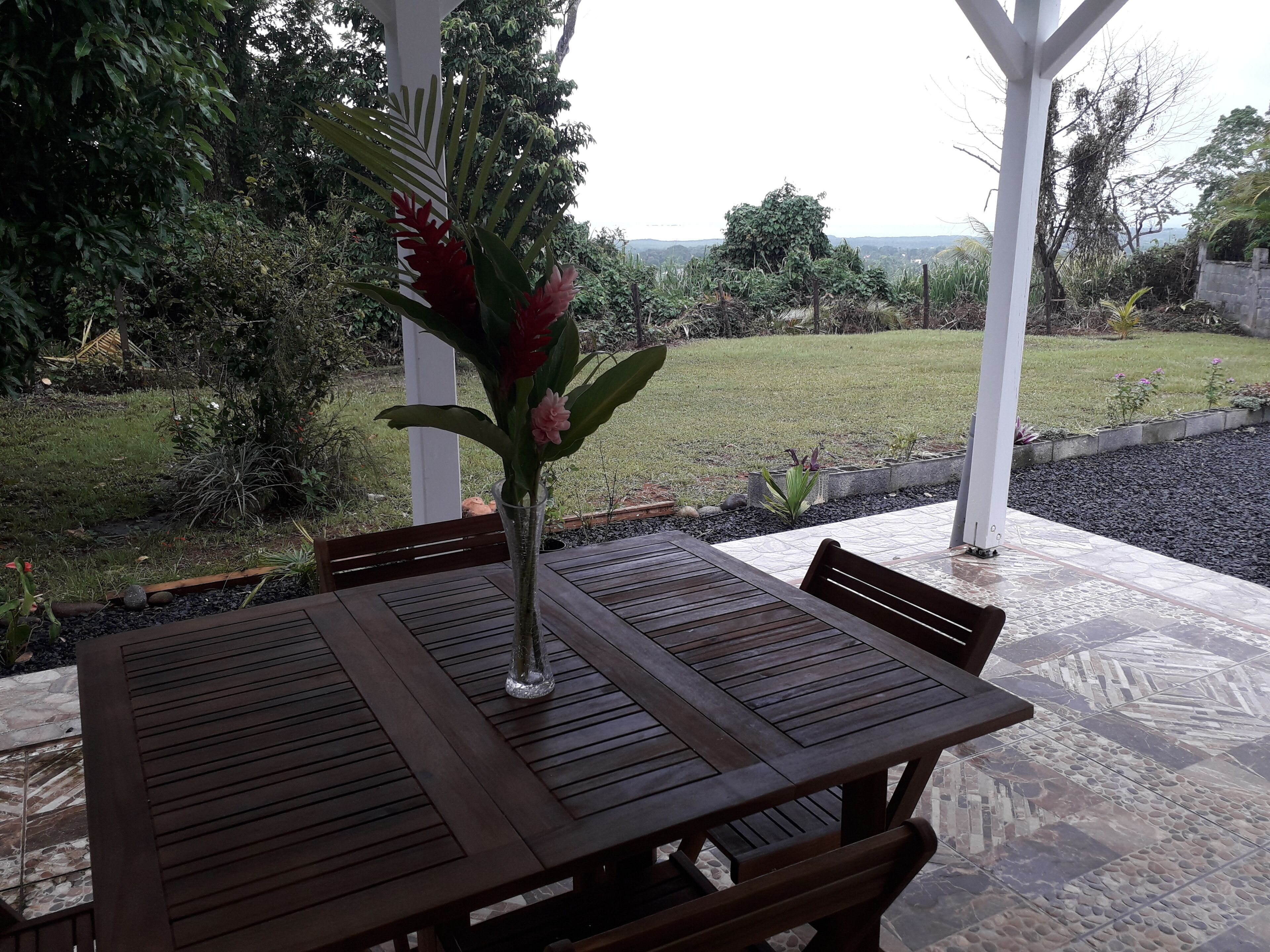 A wooden table with a clear glass vase containing red flowers, set on a patio with a view of a grassy area and trees.