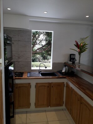 Fridge, microwave, oven, stovetop - Gite Noasol, quiet F2 (Ste Rose)
