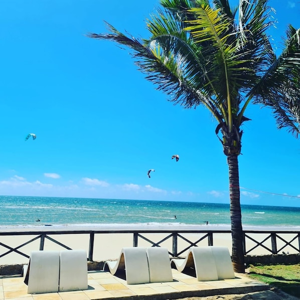 Une plage avec des chaises longues et un palmier.