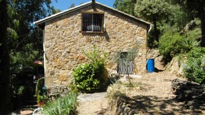A stone house with a small window, surrounded by greenery and a stone pathway. - Provencal farmhouse in a natural setting (Évenos)