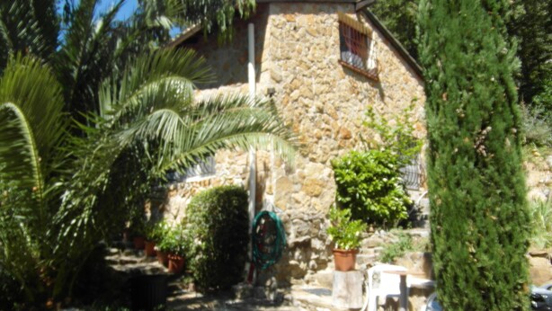 A stone building with a small window and a door, surrounded by potted plants and a palm tree. - Provencal farmhouse in a natural setting (Évenos)