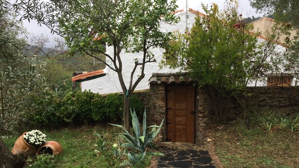 A stone pathway leading to a wooden door, surrounded by lush greenery and a white building with a tiled roof. - Rural house El Lucero, in the heart of the mountains (full rental) (Alájar)