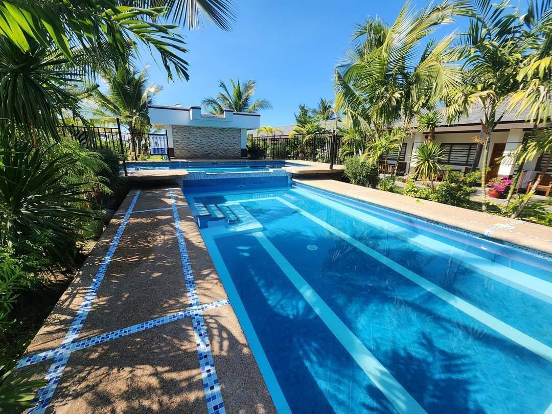 A swimming pool with clear blue water, surrounded by palm trees and a stone wall.