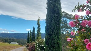 Un chemin de gravier bordé de cyprès majestueux et agrémenté de fleurs roses en pleine floraison.