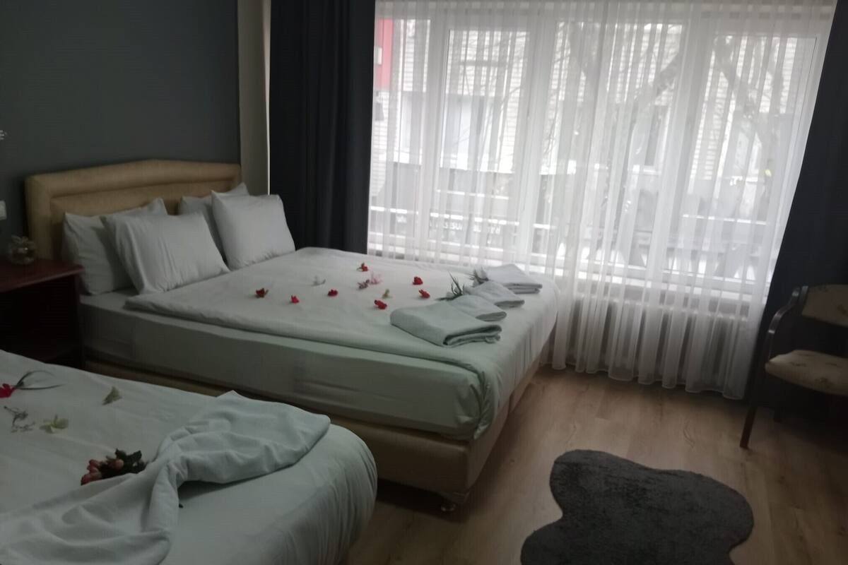 A hotel room with two beds, a large window with sheer curtains, a wooden floor, and a small rug.