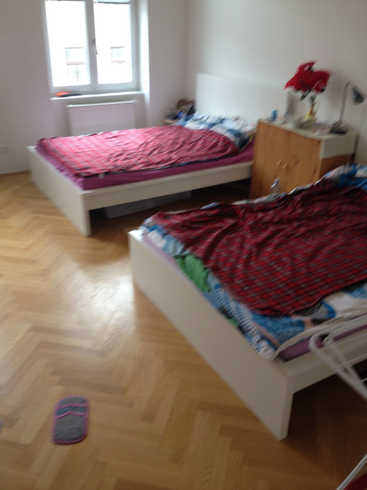 オーナーのプロフィール画像