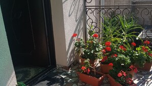Un patio con baldosas, plantas en macetas y una puerta de metal.