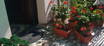 Hotel Mariana