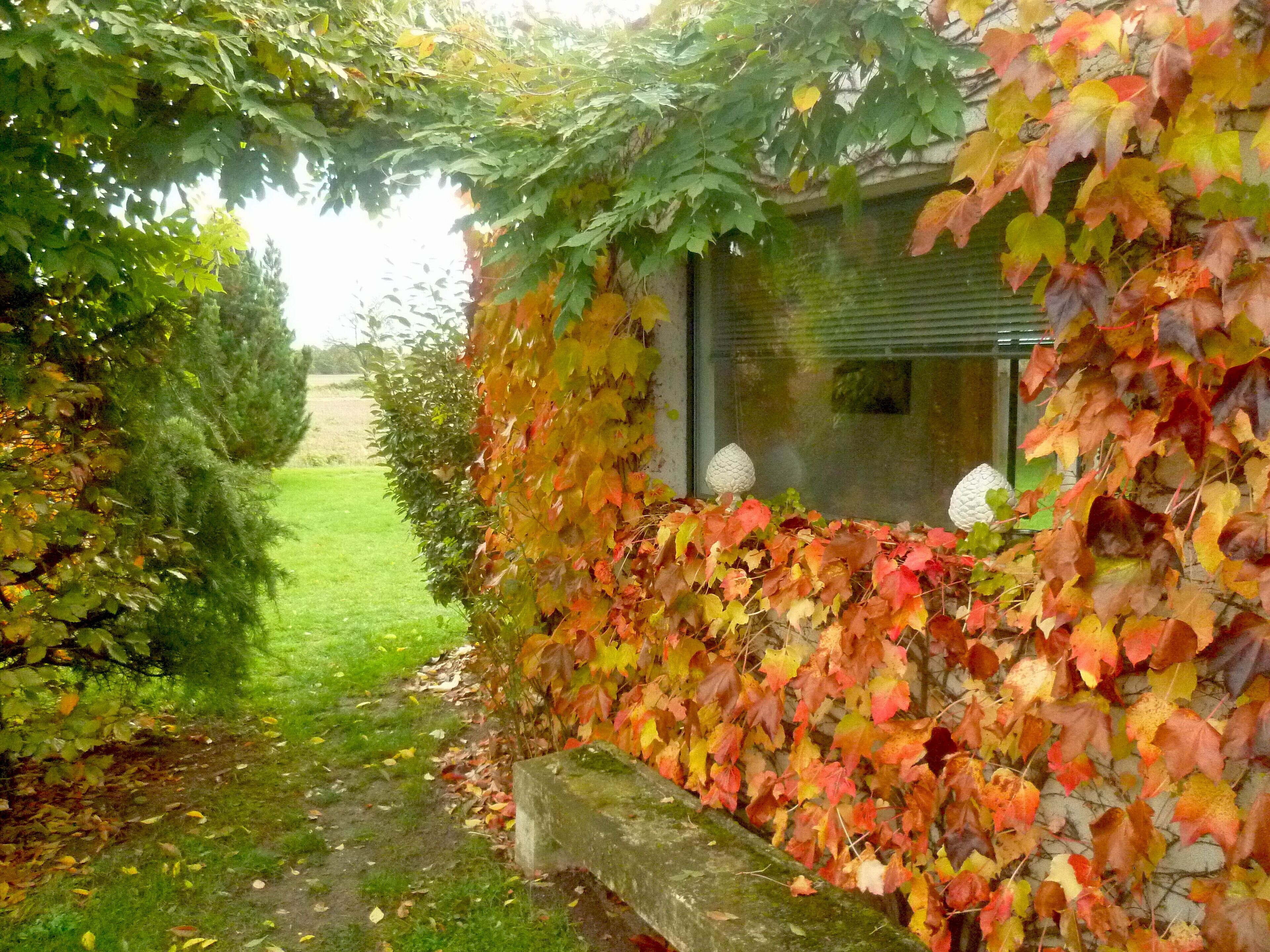 L'Atelier a small loft in the Gâtinaise countryside