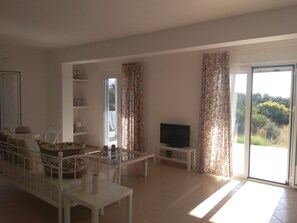 TV, video games, DVD player